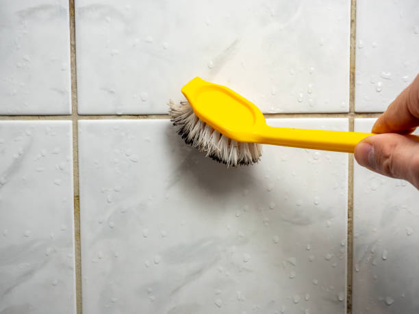 Best Mold Removal and Inspection  in New Windsor, MD